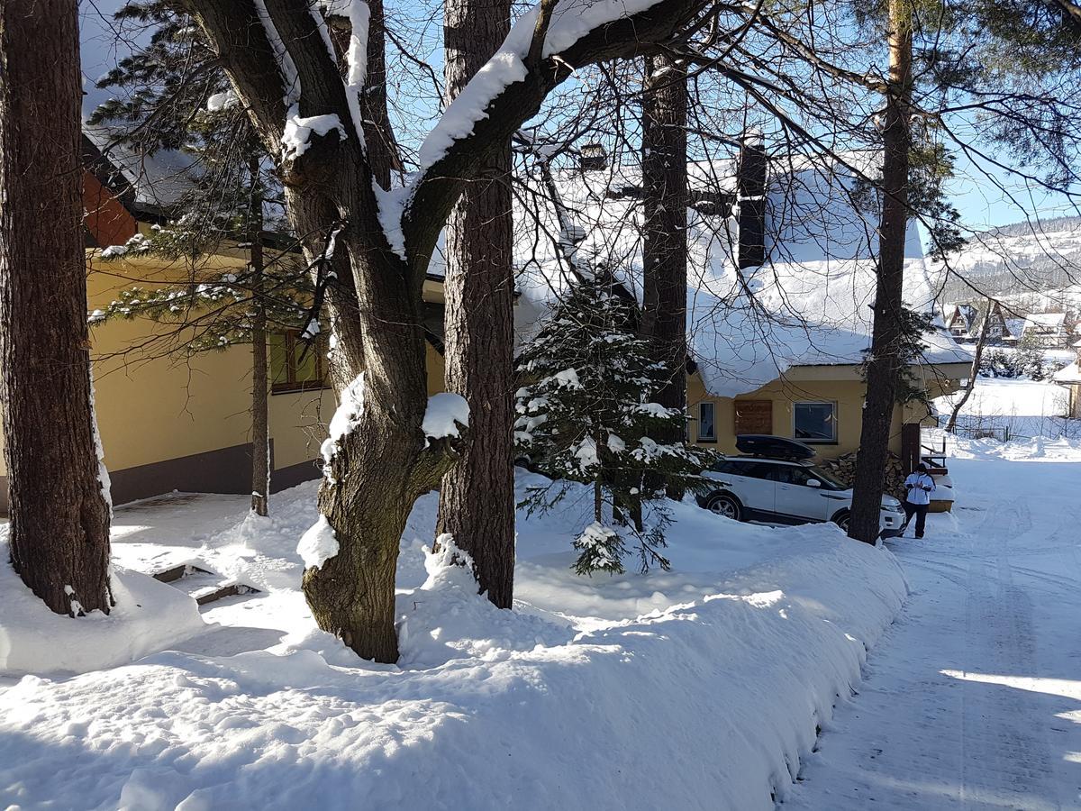 Willa Sunshine Zakopane Chalet Exterior foto